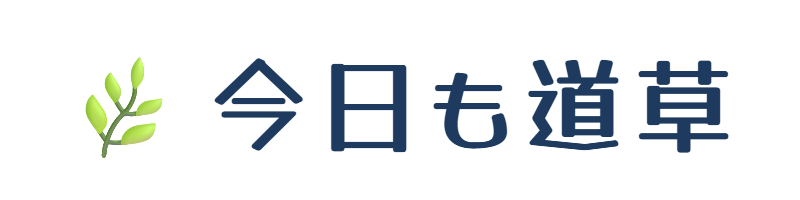 今日も道草